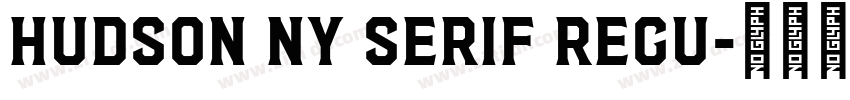 Hudson NY Serif Regu字体转换